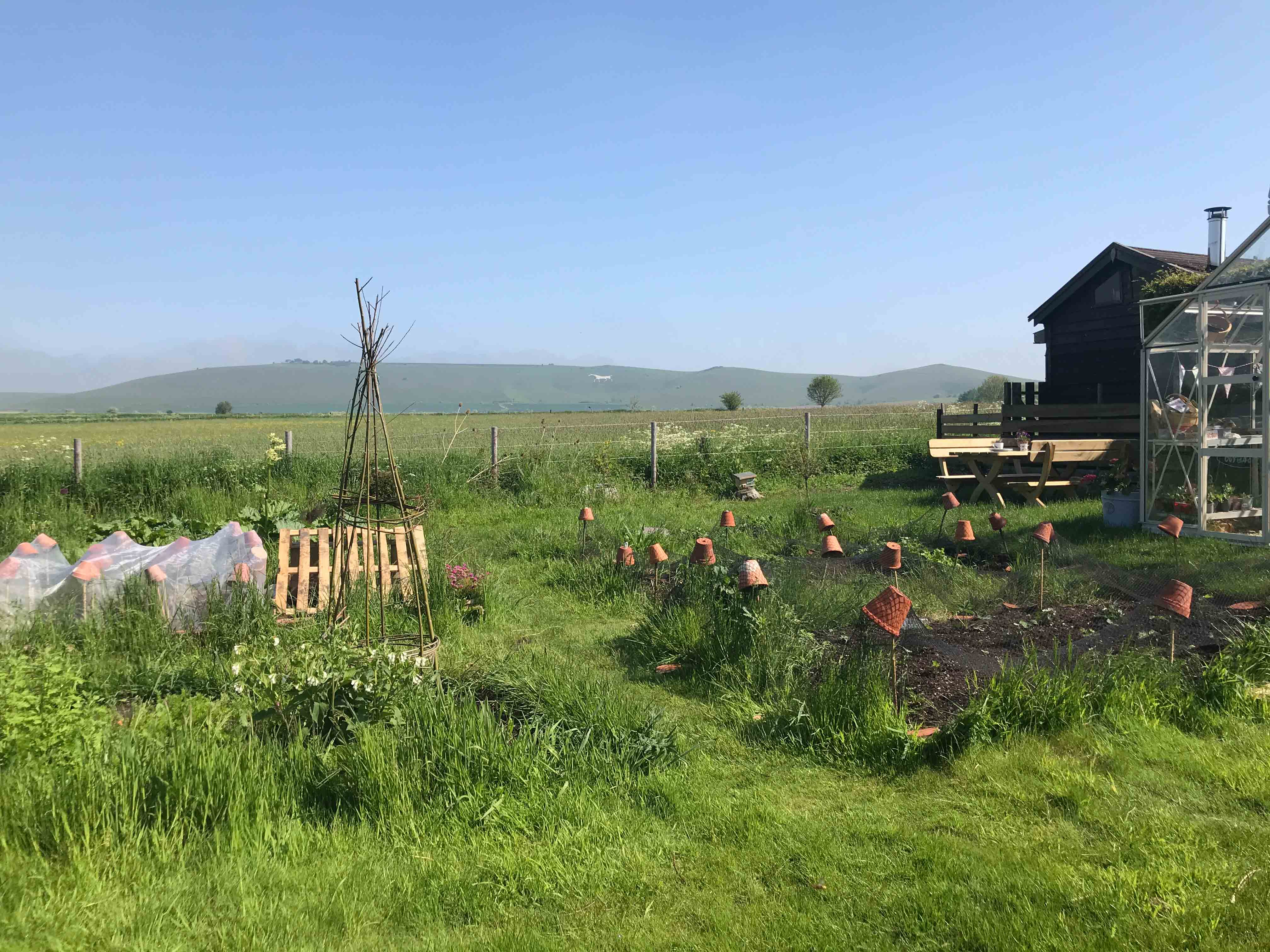 image of the soil where the potatoes grow