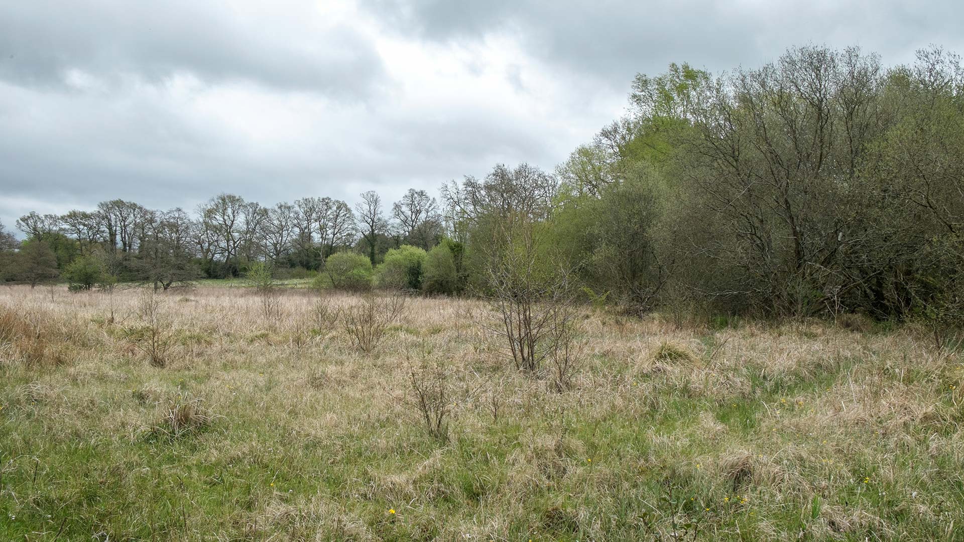 entry from jones' mill reserve