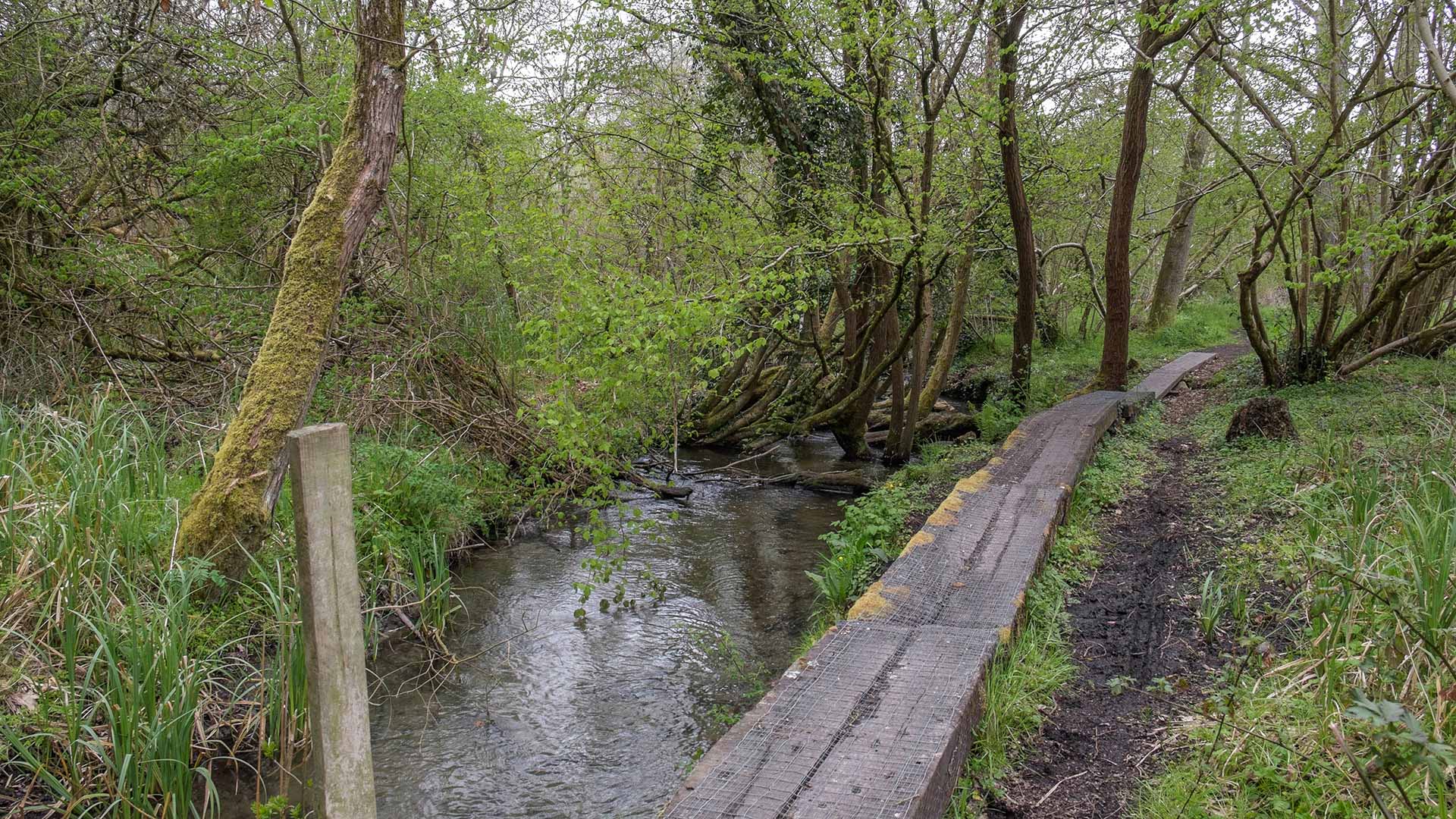 entry from jones' mill reserve